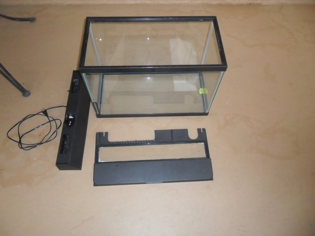 My 20 Gallon Fish Tank Pictures Cichlid Fish Forum